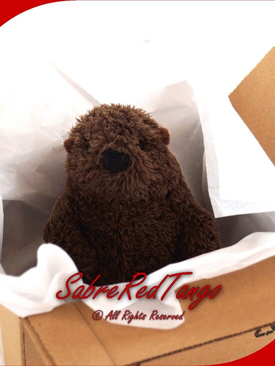 HTF Retired Douglas Cuddle Toys Stuffed Animal Groundhog 7
